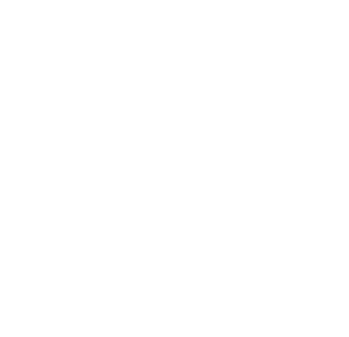 2020 Adelaide Fringe Weekly Award Winner